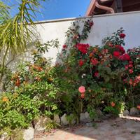 Sulmare villetta clima giardino/p.auto