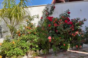 Sulmare villetta clima giardino/p.auto