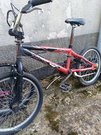 bicicletta freestyle 