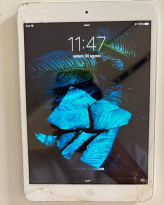 Ipad mini air
