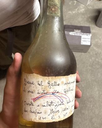 Grappa ROMANO LEVI 'Gallo innamorato' 