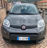 fiat-panda-1-0-firefly-s-s-hybrid