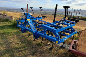 Vibrocultore volgarino