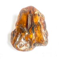 Ambra baltica grezza