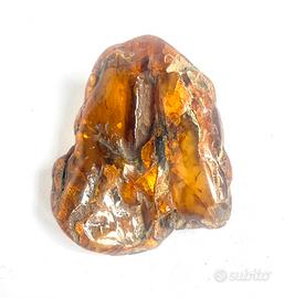 Ambra baltica grezza