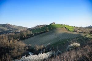 Terreno e rudere da ristrutturare