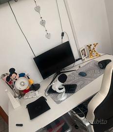 monitor msi+braccio