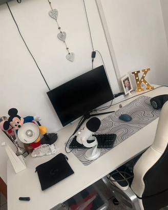 monitor msi+braccio