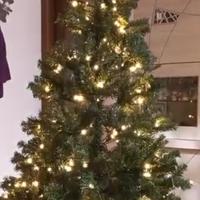Albero di Natale 
