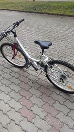 Bicicletta ragazza