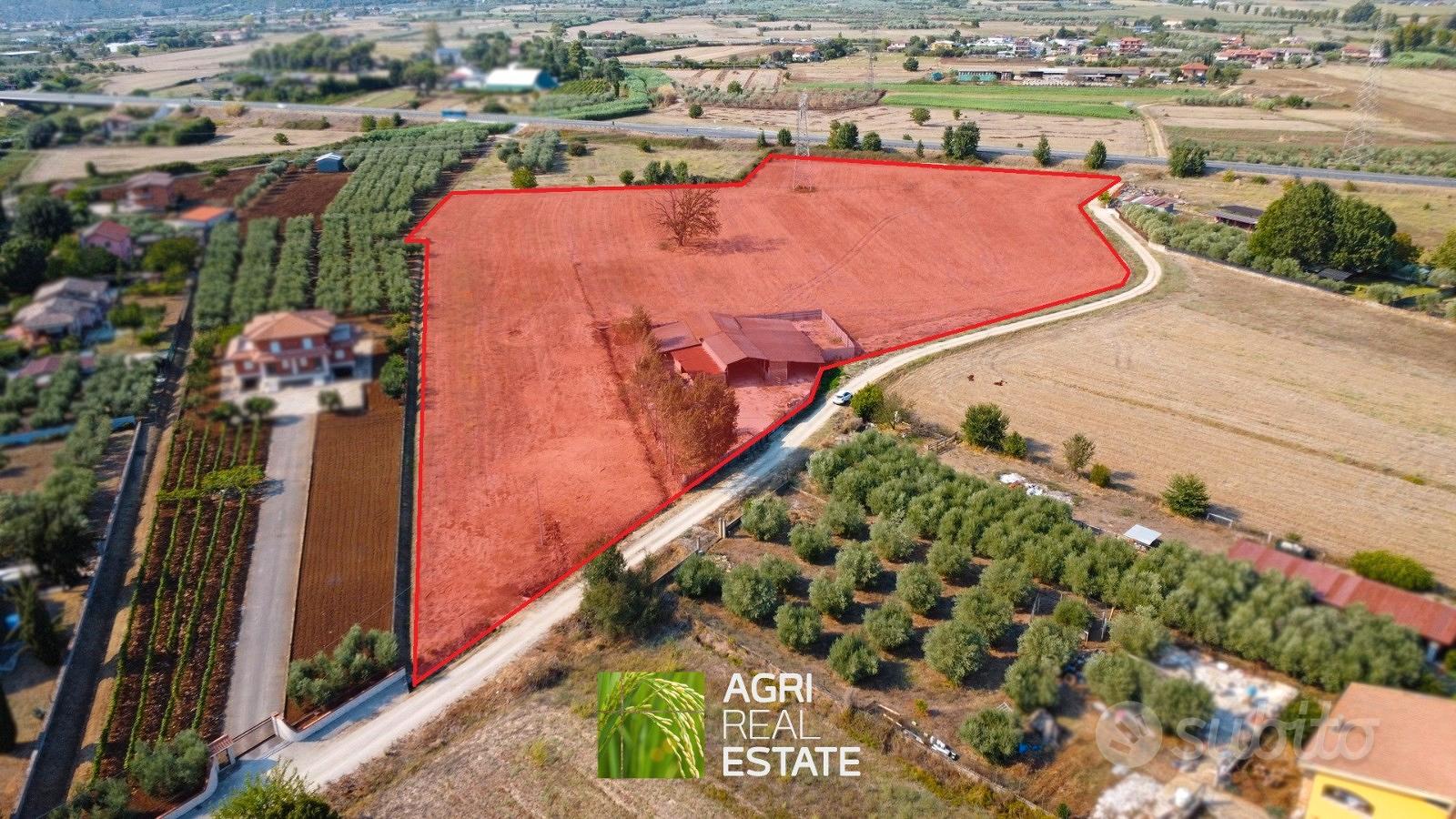 Proprietà agricola 3 HA con fabbricato e stalla - Vista 2