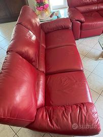 Divani in pelle