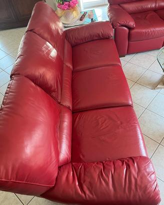 Divani in pelle