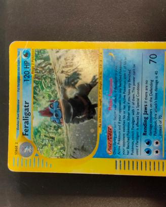 Feraligatr 12/165