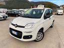 fiat-panda-1-2-easypower-seminuova-2020-gpl