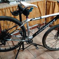 cannondale carbon