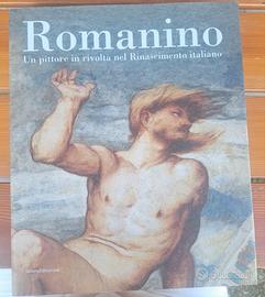 Libro arte: Romanino