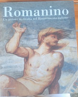 Libro arte: Romanino
