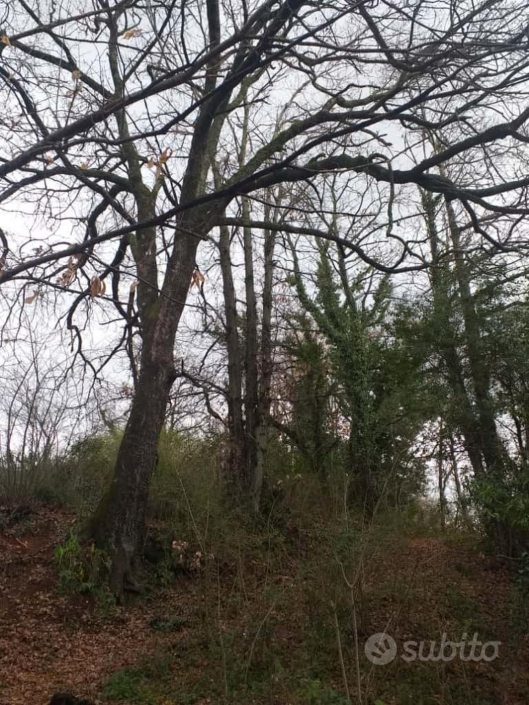 Terreno di proprietà Norma - Vista 5