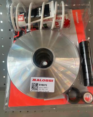 Variatore multivar per kymco xciting