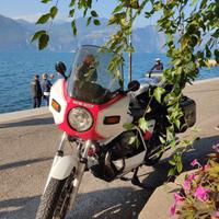 moto Guzzi Sp 1000