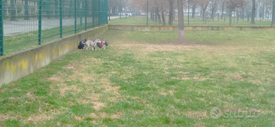 Cascina,villetta,rustico