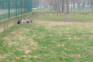 Cascina,villetta,rustico