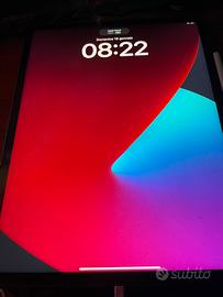 Ipad Pro - 256g / 12,9” ( quinta generazione)