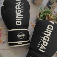 Guanti da box