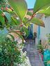 casa-singola-con-cortile-e-giardino