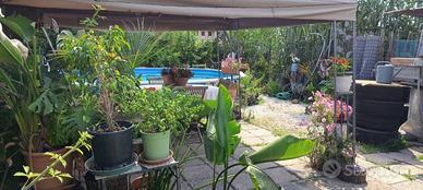 Casa indipendente di 165 m² con 5 locali a Prato