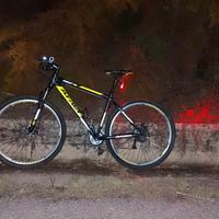 mountain-bike 29 atala 