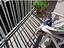 Immagine 13