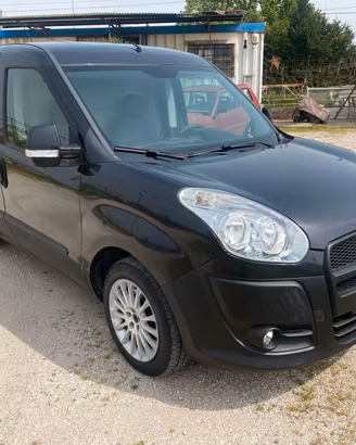 Fiat Doblò trasporto cani