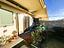 Immagine 20