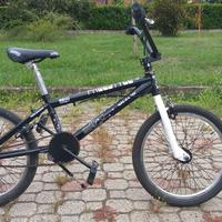 Stucchi Acrobat 5600