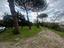 Immagine 14
