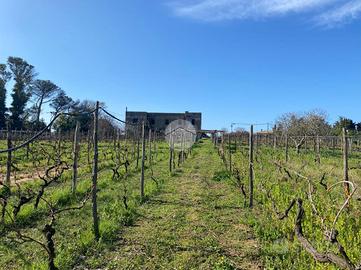 TER. RESIDENZIALE A ANZIO