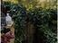Immagine 10