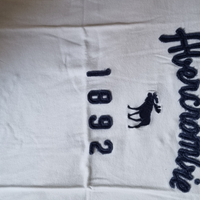 T shirt Abercrombie and fitch
