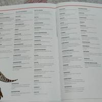 Libro dinosauri