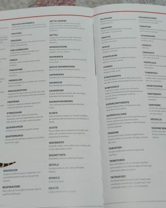 Libro dinosauri