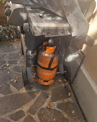  Barbecue da giardino