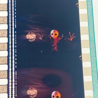 Fotogrammi tim s burton nightmare before christmas