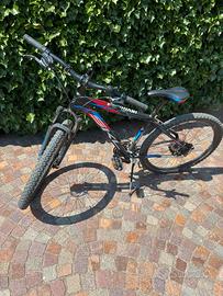 Mountain bike