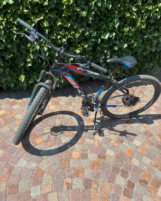 Mountain bike