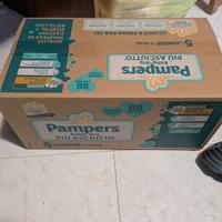 pannolini baby dry 5