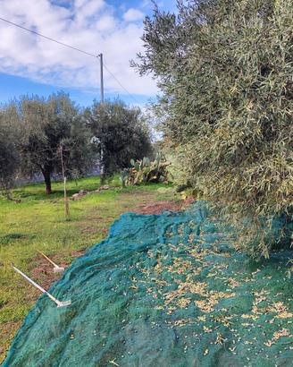 Terreno agricolo Belpasso -  2940 mq con deposito 