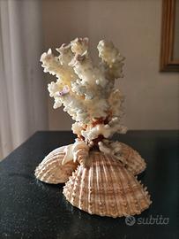 Soprammobile in corallo