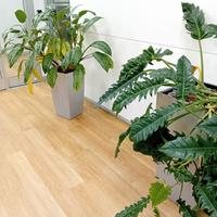 Vasi per idrocoltura o coprivasi